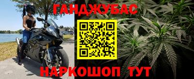 шишки Нарткала