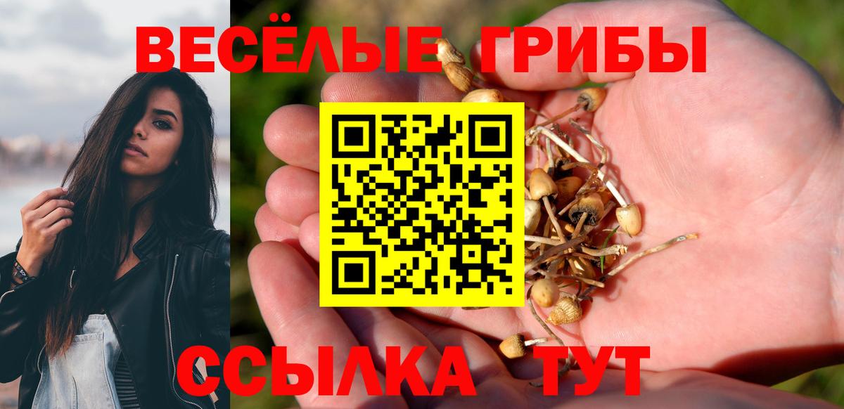 Галлюциногенные грибы Psilocybe  Вход с VPN  Торжок  Псилоцибиновые грибы мицелий 